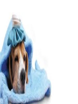 cover image of HOME REMEDIES FOR PETS
